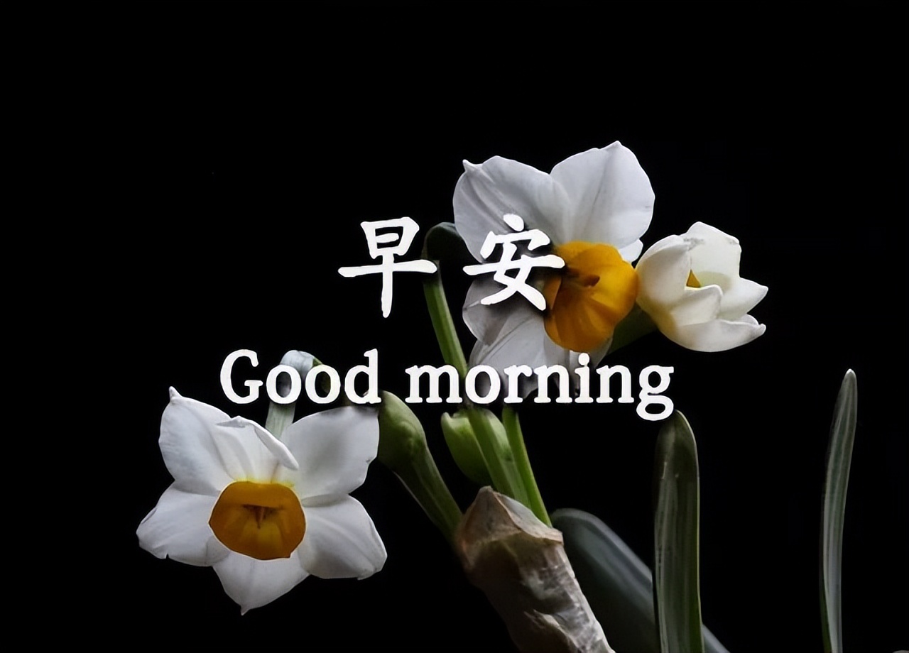 初夏早上好唯美祝福图片 早安图片带字带鲜花 幸福花祝你幸福美满图片