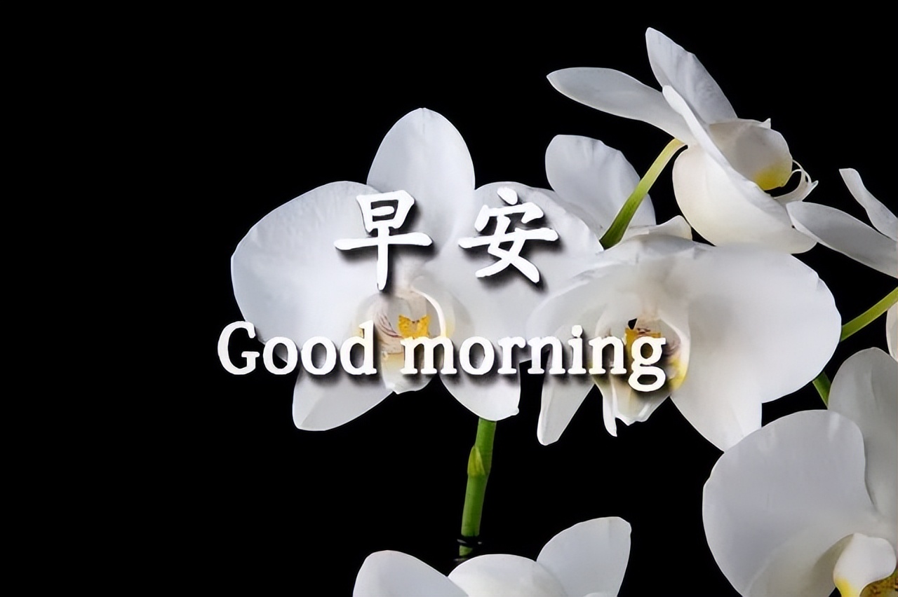 早上好的问候语图片 早上好祝福语句子大全 心情好、永不老、没烦恼图片