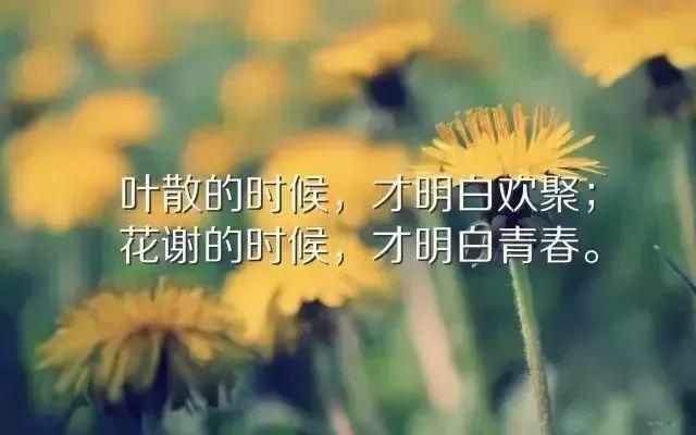 形容生活惬意的句子(70句享受惬意时光的说说)