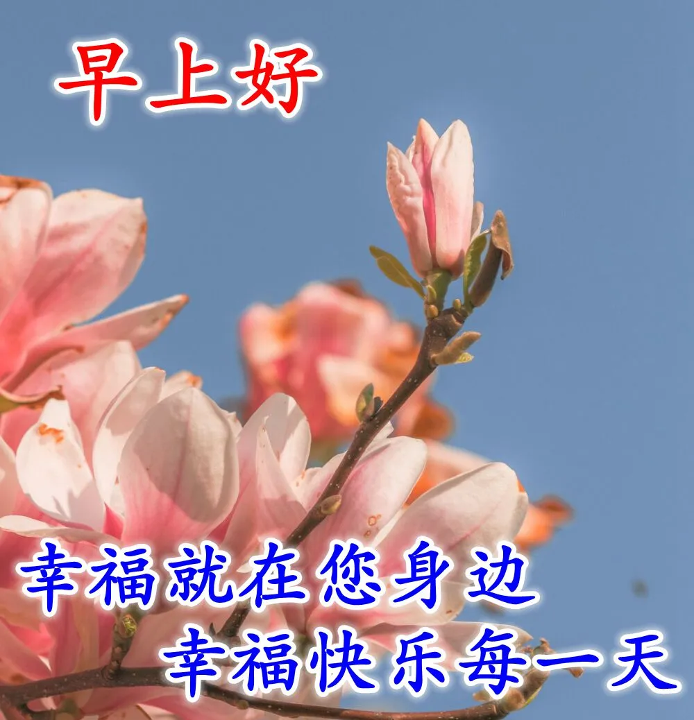 朋友圈新版早安祝福句子 笑一笑，人生不一样图片