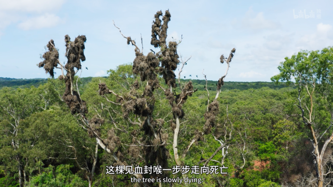 豆瓣第一电影