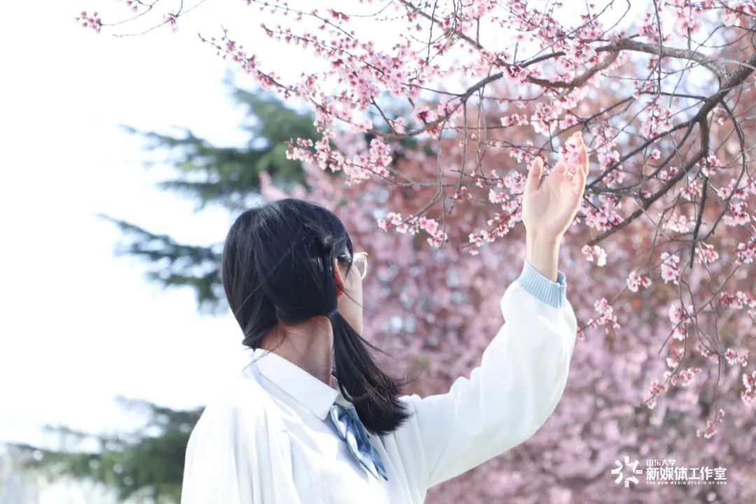 春到人间草木知，满园新绿正当时