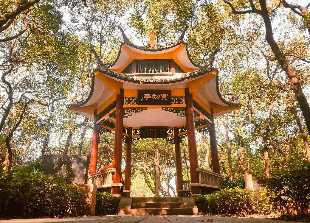 重庆大学：有着美好的过去，还有着很多人不了解的强大的工学专业