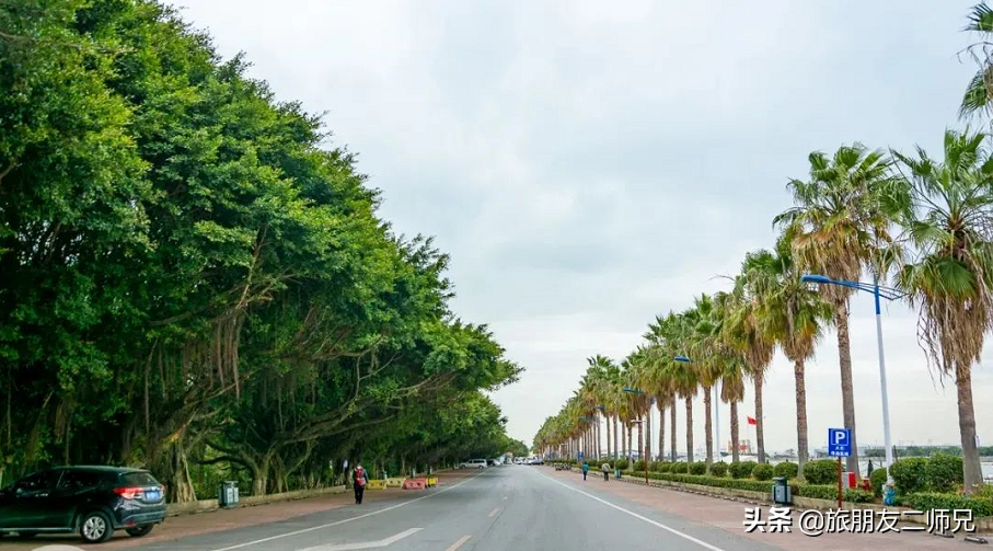 广州南沙湿地公园1天游，打卡十九涌渔家小镇