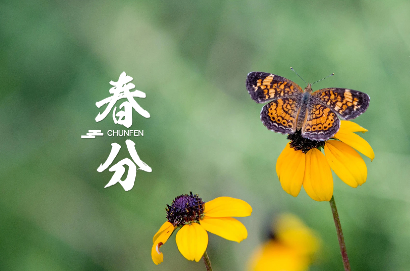 春分 | 春半日暖 昼夜平分，十首春半的诗词，带你览尽美好春光