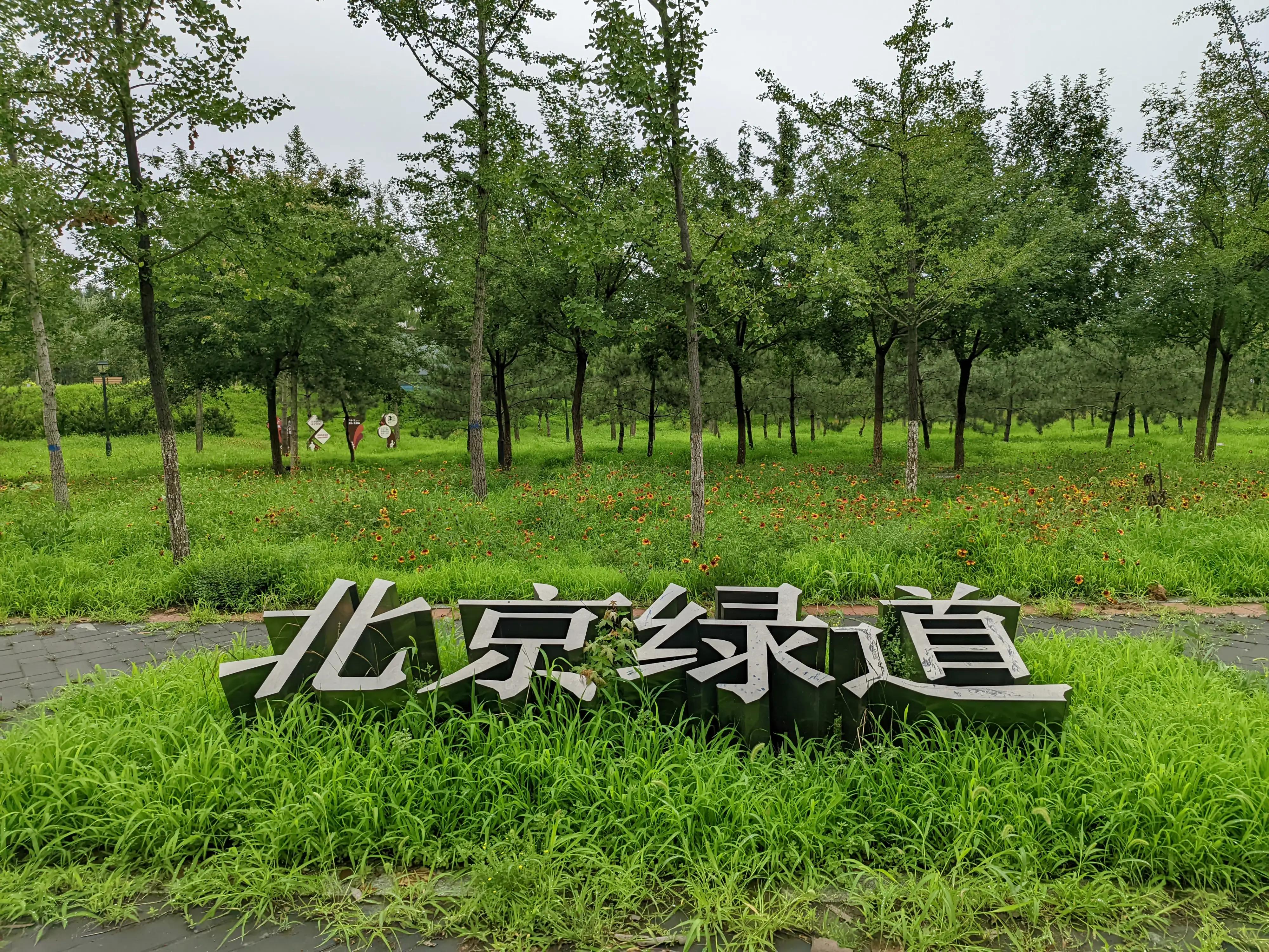 小米手机可以试试谷歌相机，比原生相机效果好