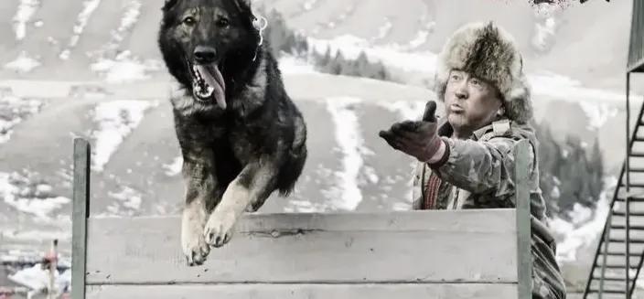 万物皆有灵 你救我一命 我护你一生