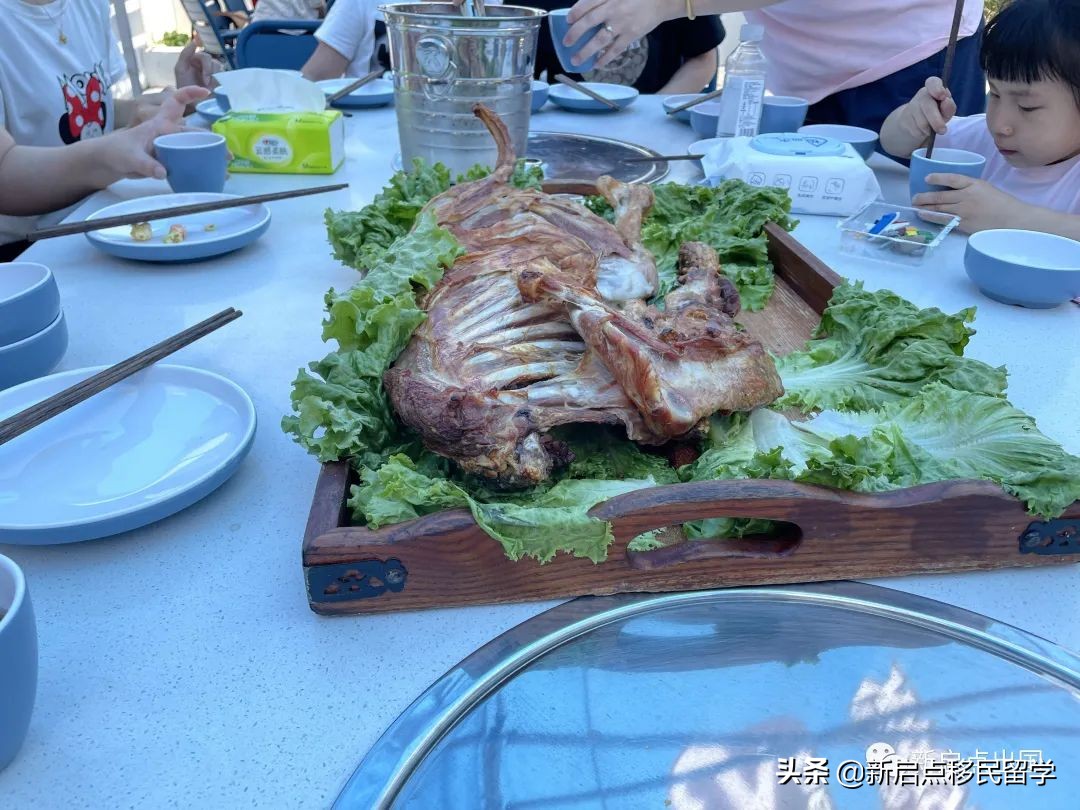 初夏限定丨新启点南部山区团建活动