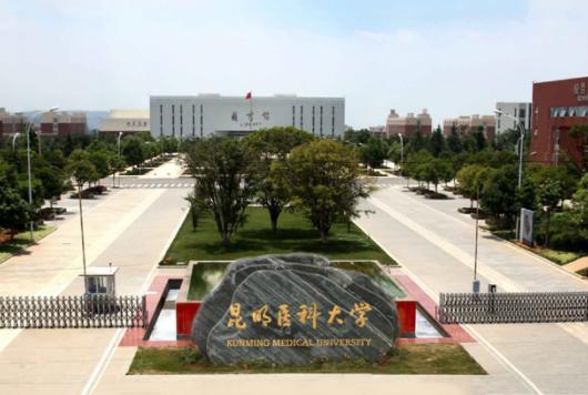 国内百强高校名单出炉，云南3所大学上榜，昆理工排名超过了云大