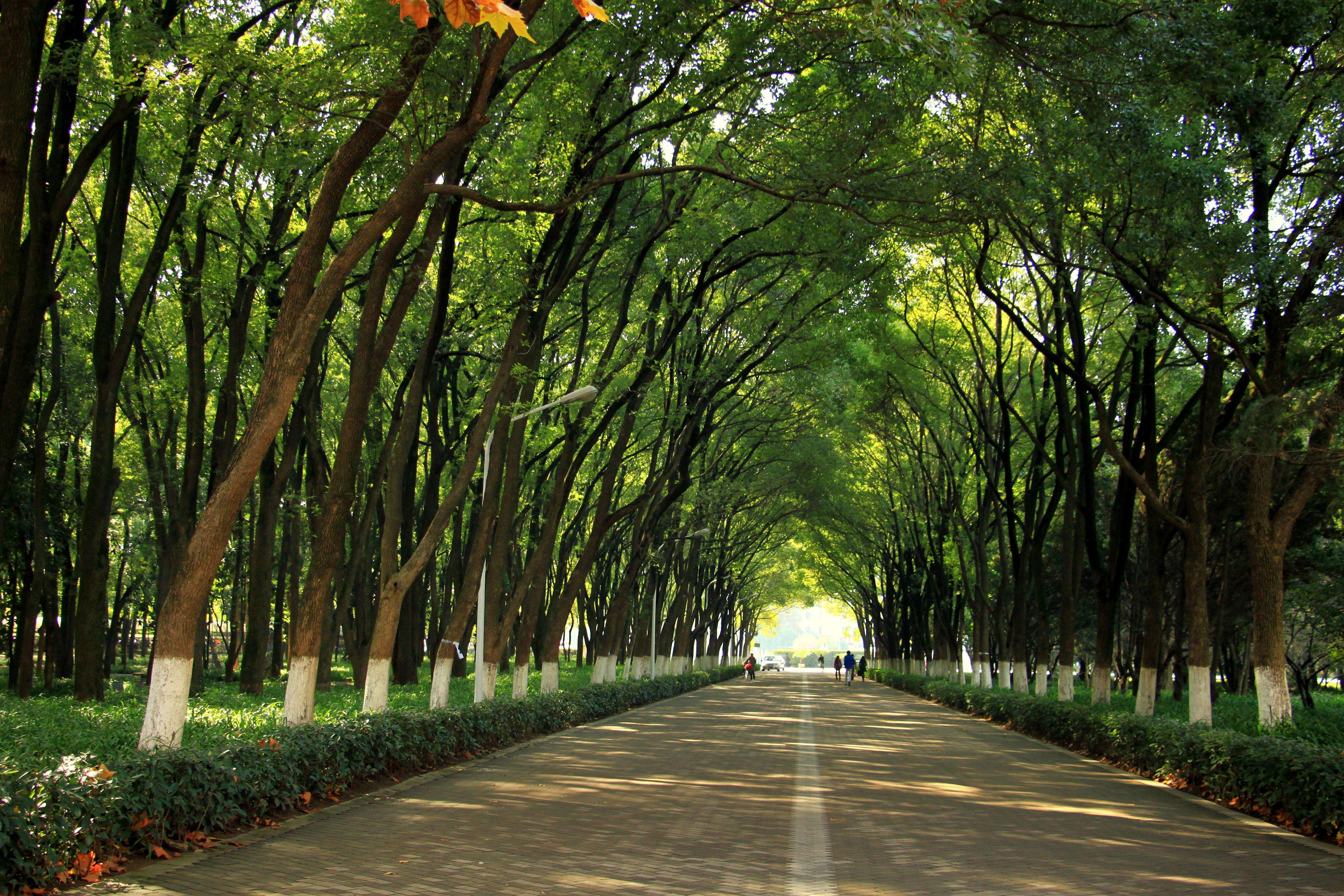 华中科技大学：无愧简称“华中大”，文科生也能报考的综合性大学