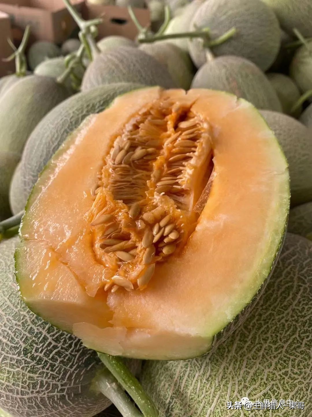 哈密瓜、蜜瓜、网纹瓜、香瓜、羊角蜜傻傻分不清？看完就明白了