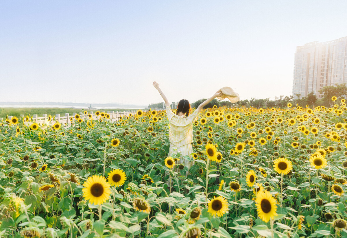 写作素材系列25：季节描写——夏