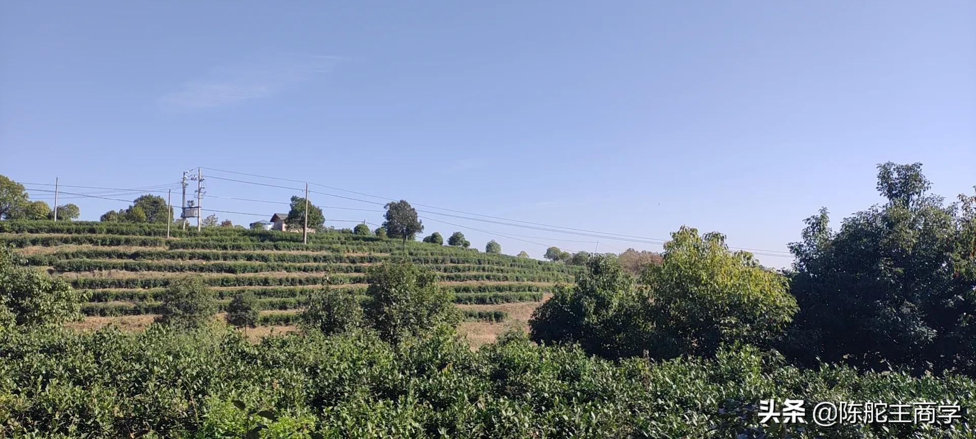 为什么你做自媒体一天100块都挣不到？真相来了