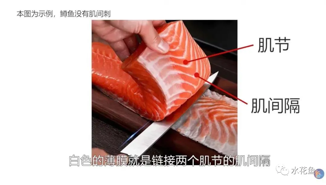 鱼的腥味和鱼刺——没有腥味就不是鱼！鱼刺来自于鱼类的生理需求