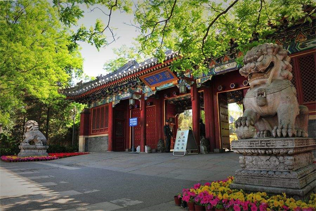 高考狂人张非，一次复旦一次北大，两次清华，现在基本上算是废了