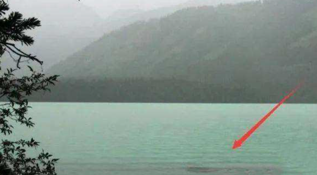 1980年新疆湖泊发现"水怪"，牛羊被拖进水中，真凶却是条"大红鱼"
