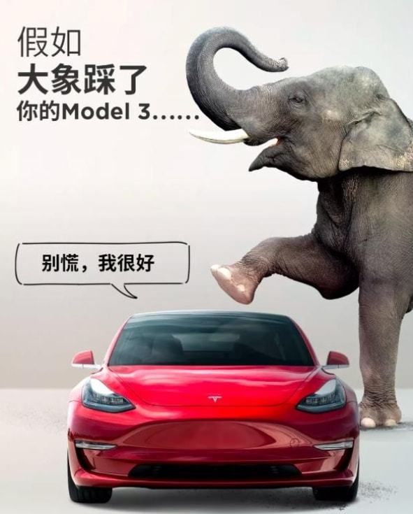 特斯拉玻璃车顶安全吗？江苏一Model 3被大树砸中车顶：司机无碍