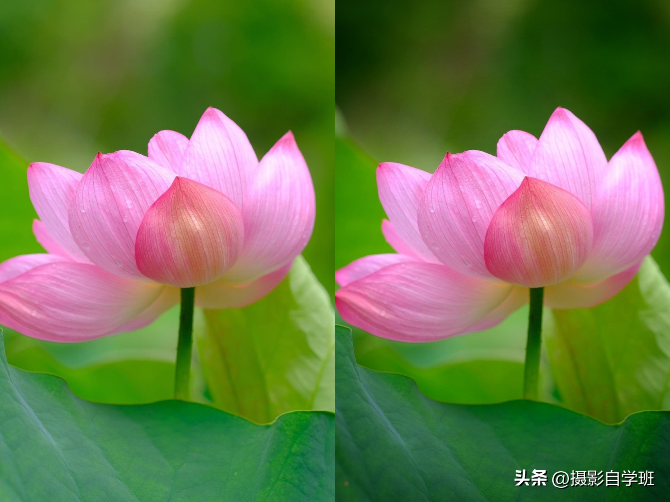 手机后期人像照片瘦脸修图方法(人像照片脸暗咋办？照片咋能更加立体？实用的手机修图技)