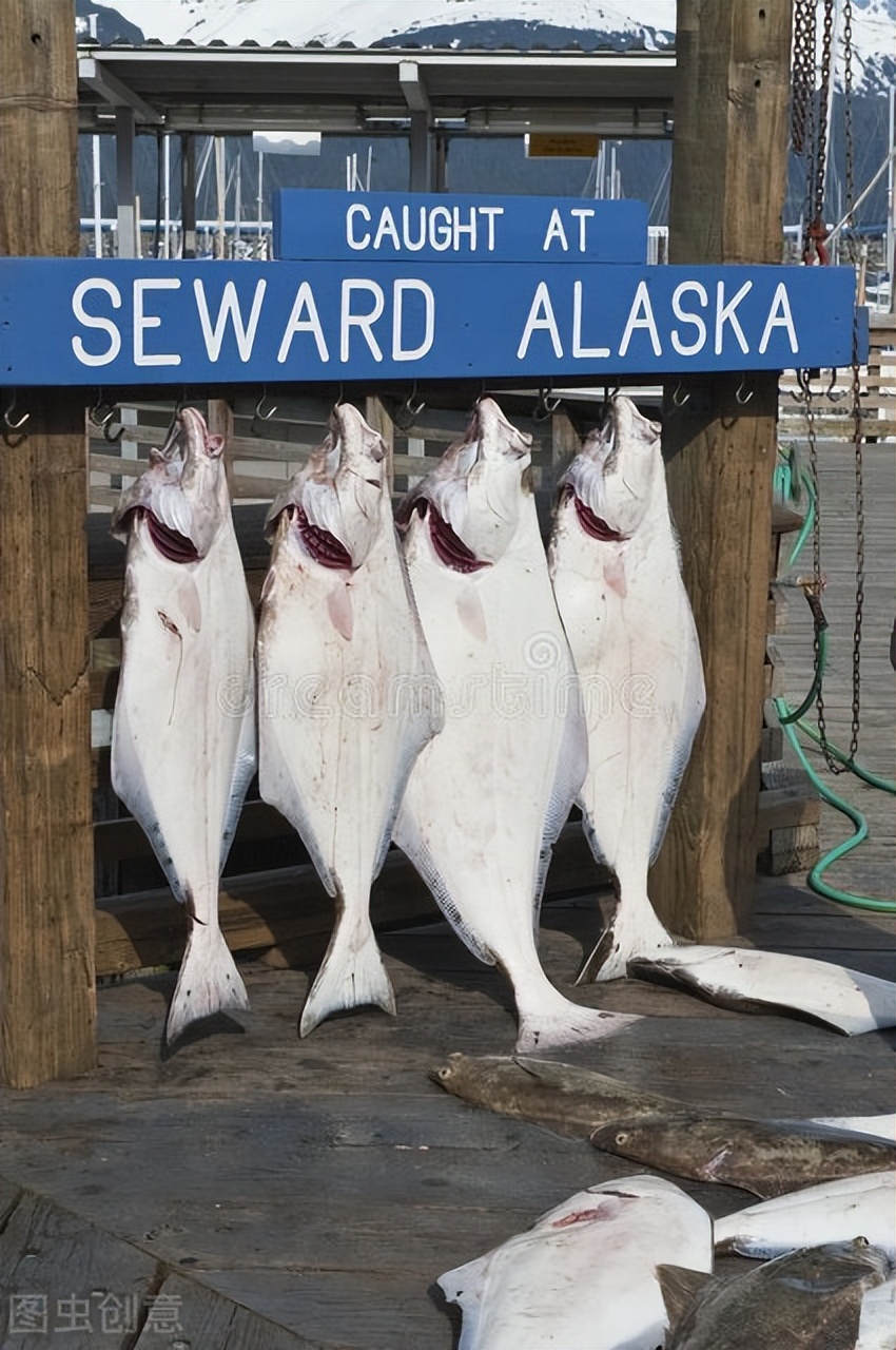 《2020年美国渔业报告》解读