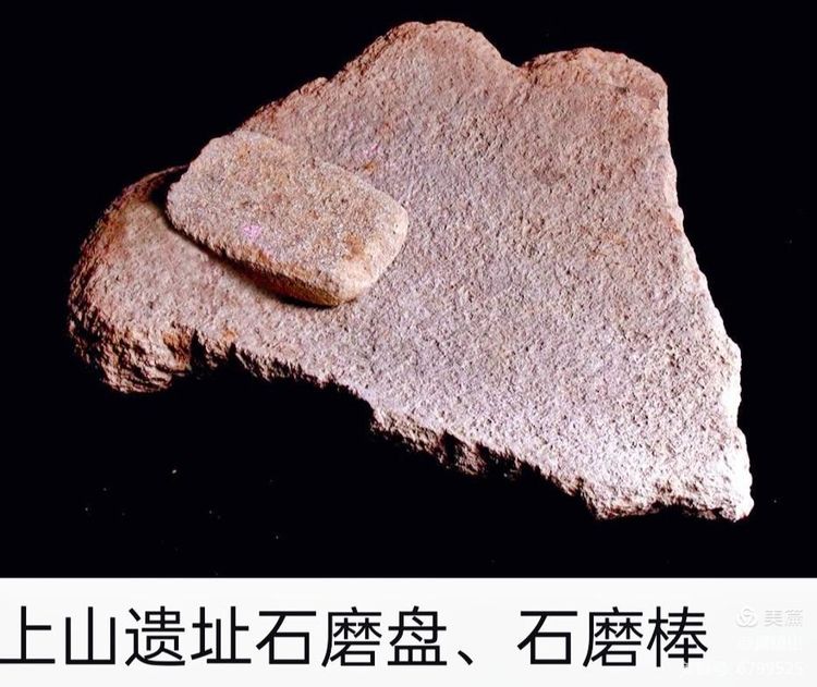 黄镇山：世界陶稻黍文明起源中国万年前