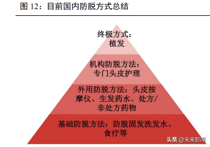 植发医疗行业专题报告：“头”等大事牵动千亿毛发市场