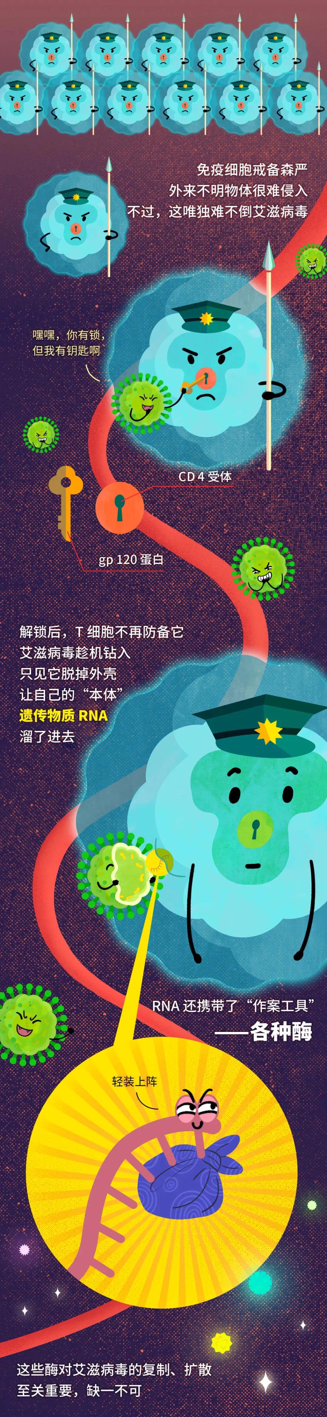 周知！不慎接触艾滋病毒有72小时自救