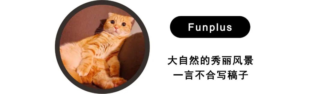 雷克萨斯LFA继任者：Electrified Sport