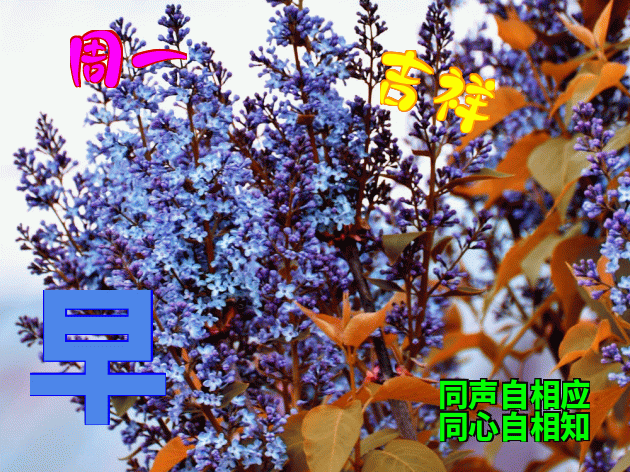 新周冬天早上好动态图片表情更新 与那你得到放松和快乐图片