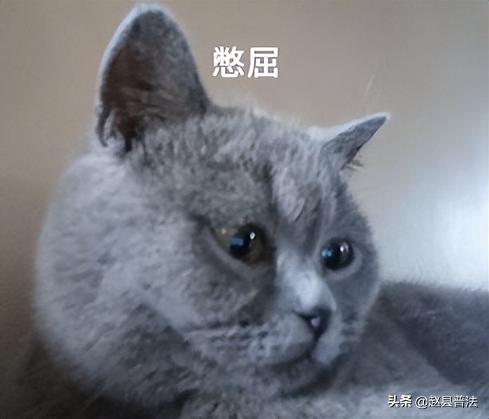 探望权只能“望”不能“留”？探望权该如何行使？法院这样判……