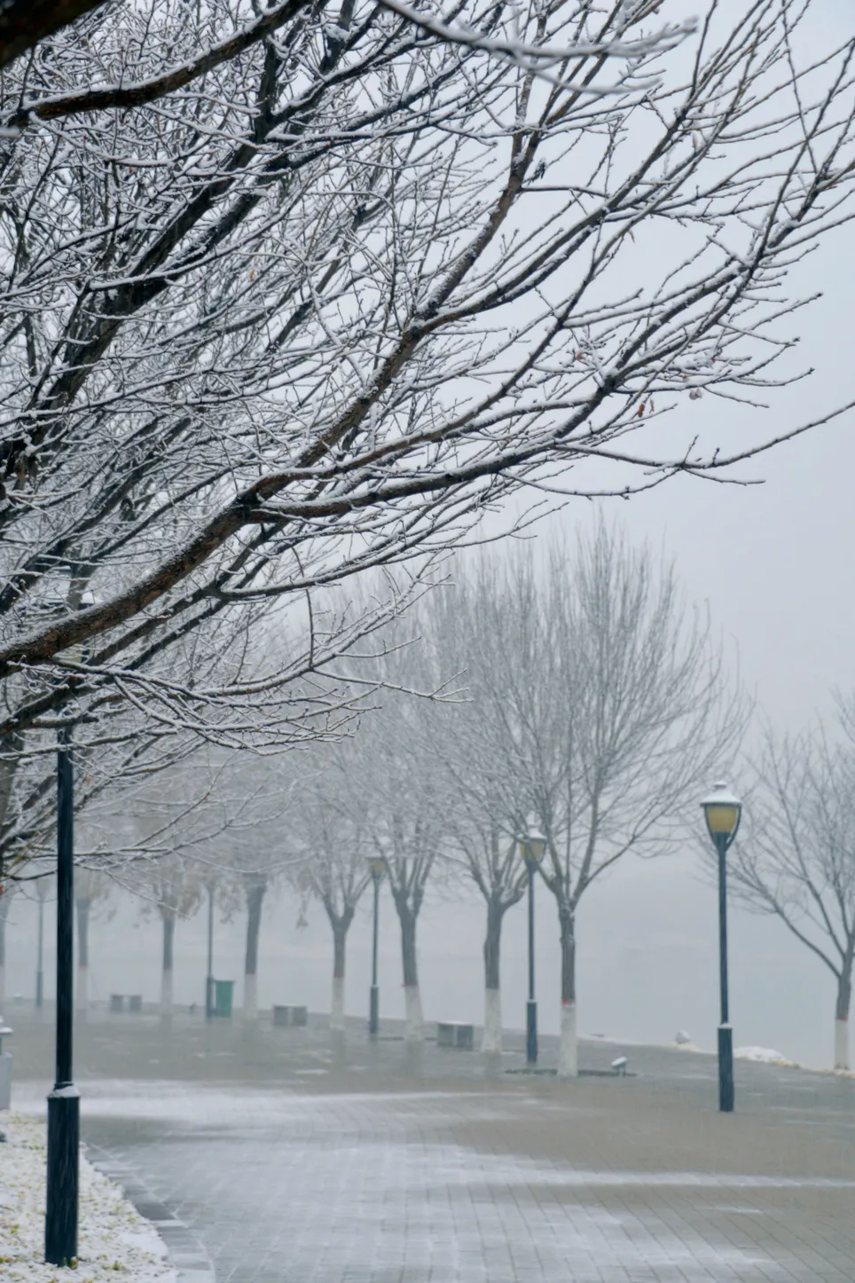 与你一起邂逅洛师初雪