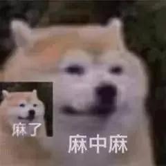 表情包不愧是你