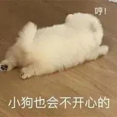 你脚臭你脚臭