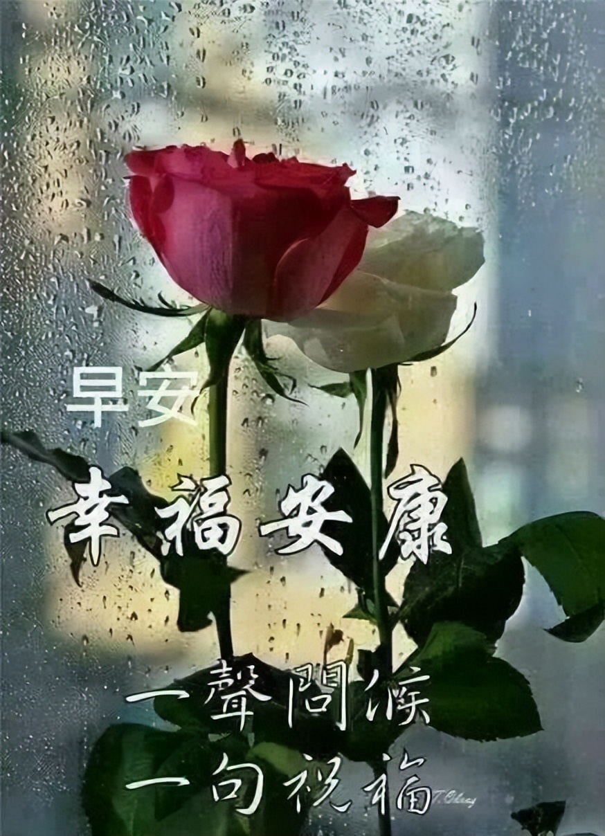 夏日清晨早上好问候语动态图片表情 天天欢喜过 日日无烦忧图片