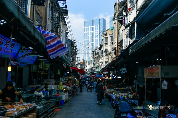 廈門八市:老市場藏進鷺島煙火味,海鮮小吃以及豐富人文都在這裡