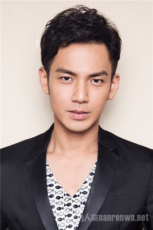 中国内地 奶油中年男星 钟汉良