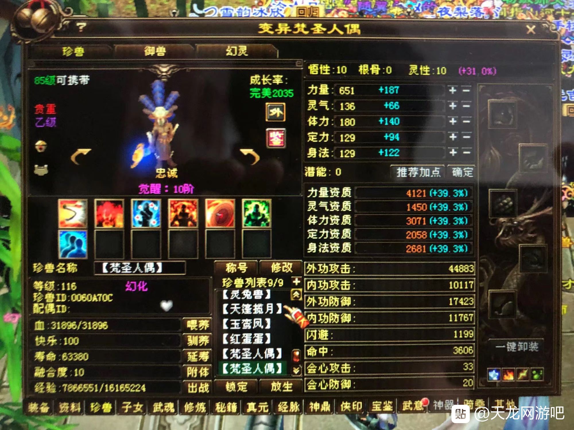 天龙：顶级宝宝收藏家，收藏了156只顶变稀有宝宝，7级号都不换