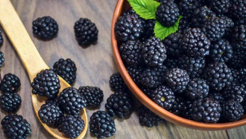 水果黑莓的營養價值如何呢