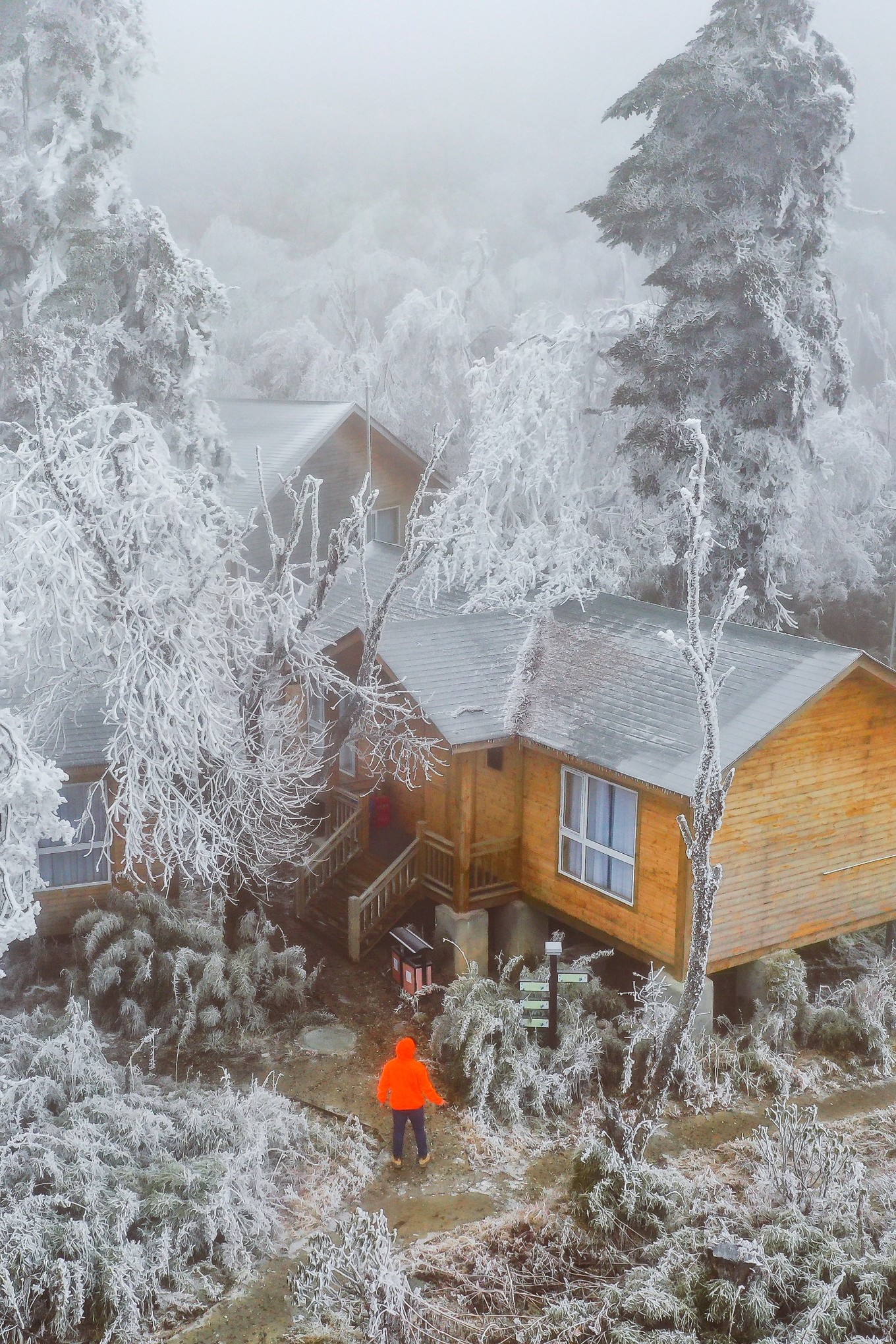 云海之上，贡嘎之巅，王岗坪冰雪之旅