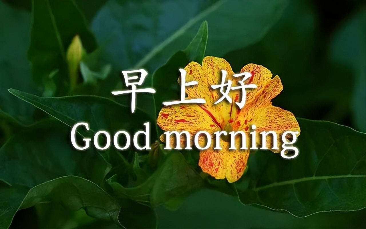 周六早上好祝福图片，愿你美丽心情展翅飞翔，柔柔的祝福暖在心间图片