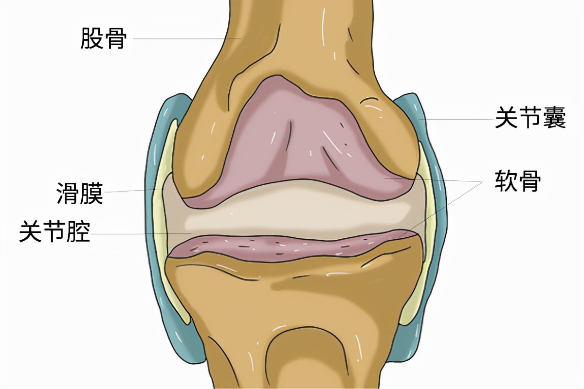 膝关节疼痛是怎么回事？不只是这3个病因，医生教你如何应对