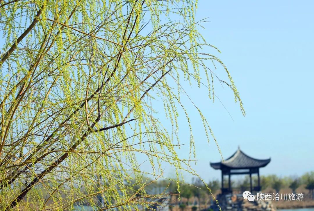 你好三月,，你好洽川丨附女神節(jié)活動(dòng)政策