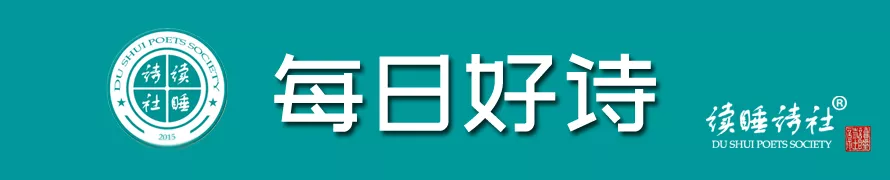 每天好诗