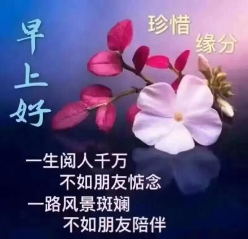 2022唯美夏天早上好问候语图片文字精选 不变的牵挂、永恒的祝福图片