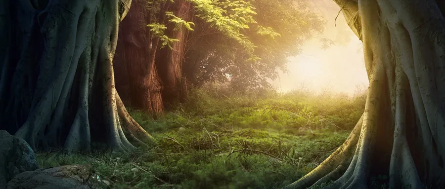 特级教师王栋生：学校、校长、教师安静下来，才是教育最该有的样子