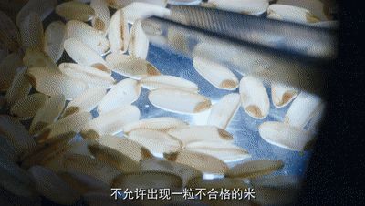 金禾现代农业聖上壹品五常大米—金奖品质 黑土瑰宝