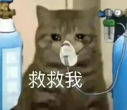 猛女落泪