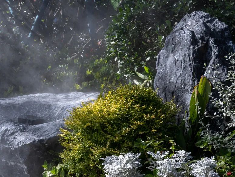 宋书雅境，人文逸兴 