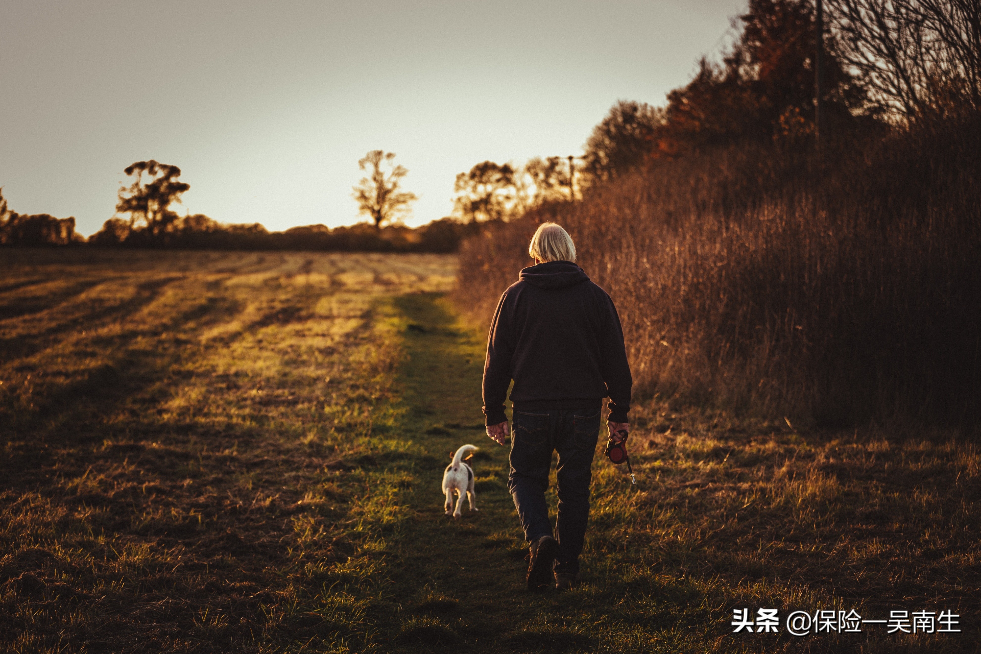 众安孝心保老年人意外险2020(众安孝欣保老年意外险)