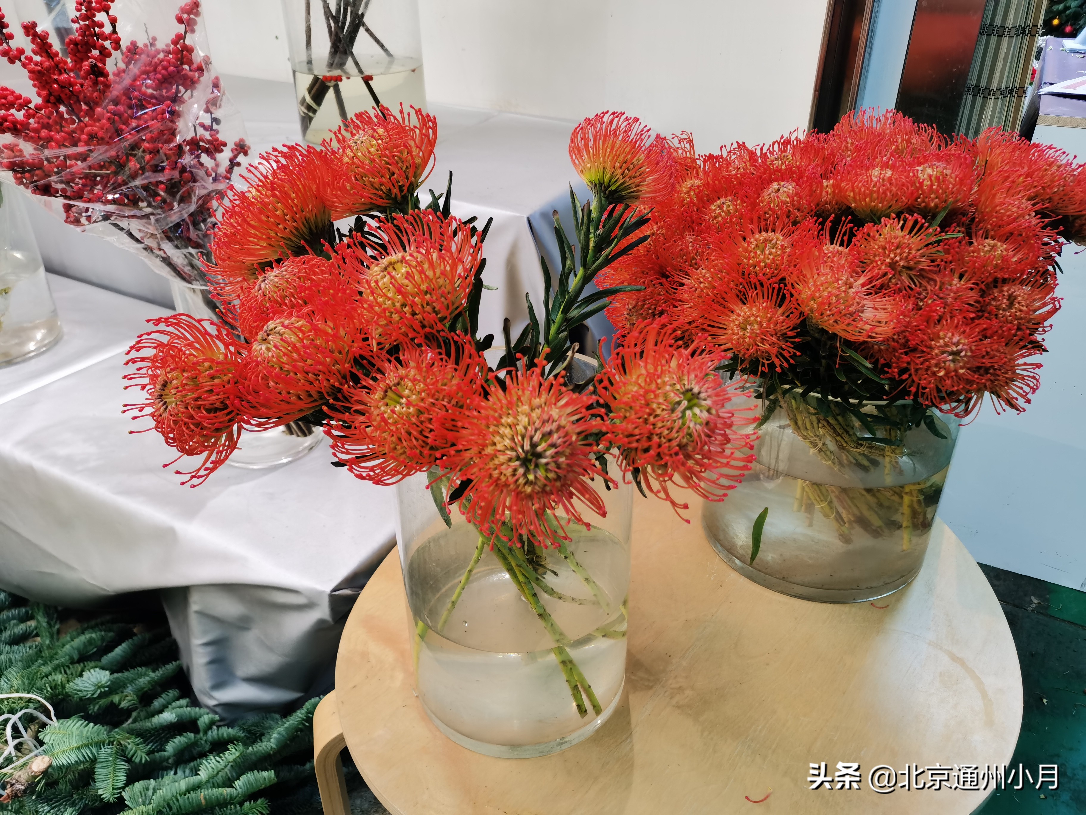 北京花卉批发市场都有哪些地方，北京花卉市场种植基地