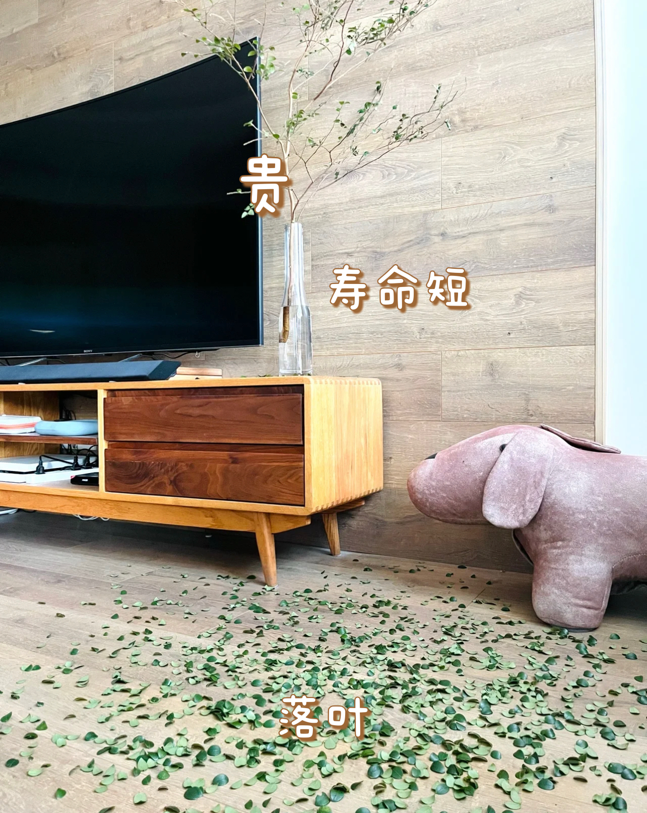 那些你曾羡慕的装修设计